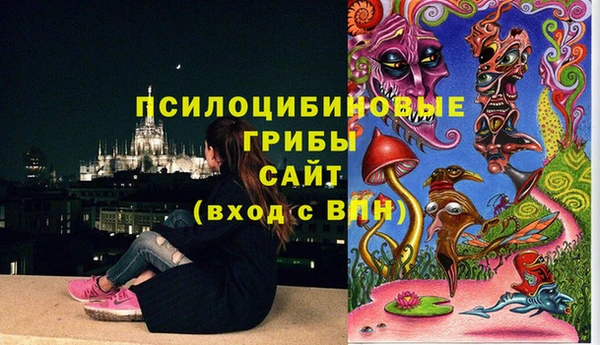 дурь Беломорск