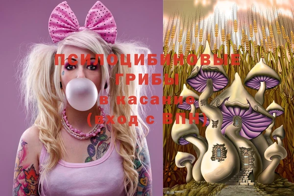 винт Белокуриха