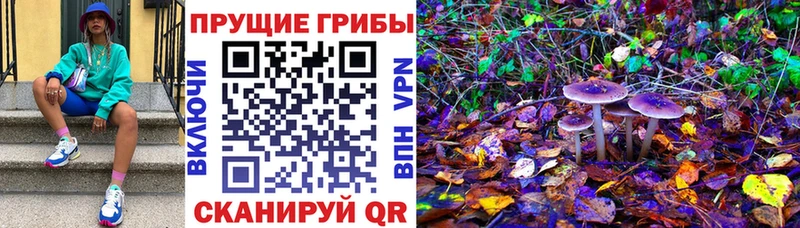 купить наркотики цена  kraken ссылки  Псилоцибиновые грибы MAGIC MUSHROOMS  Луховицы 