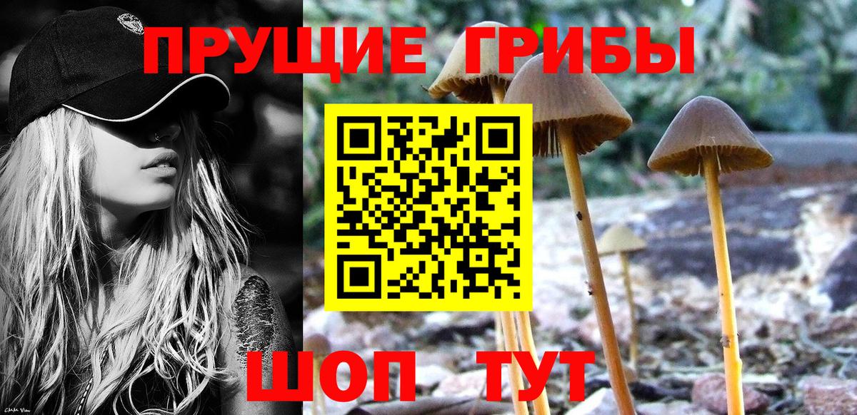 Луховицы  Галлюциногенные грибы GOLDEN TEACHER  Вход с VPN 