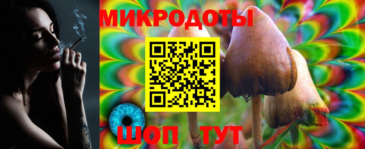 Псилоцибиновые грибы мухоморы Луховицы